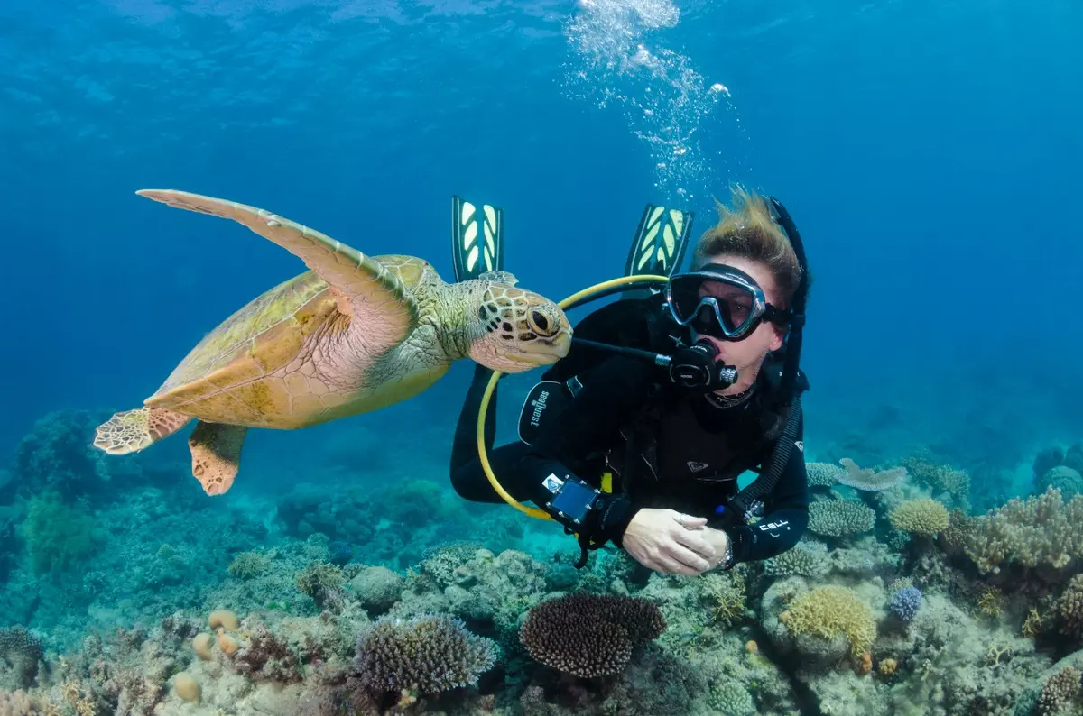 great barrier reef scuba diving tours