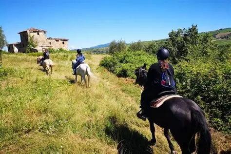 horse riding edinburgh