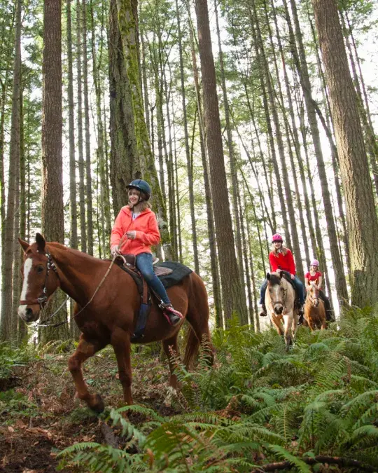 horse riding portland