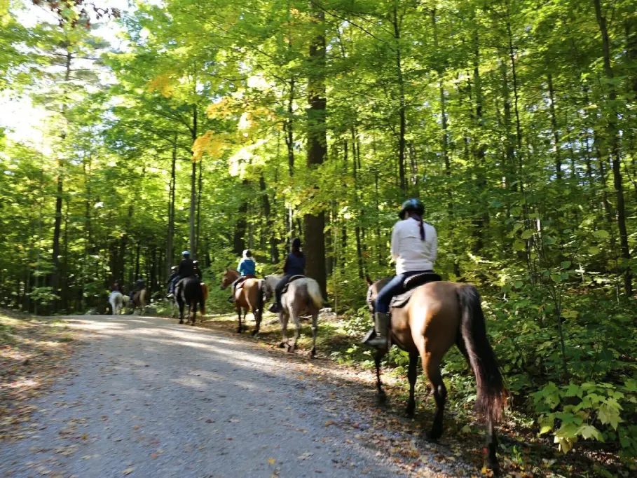 horse riding toronto