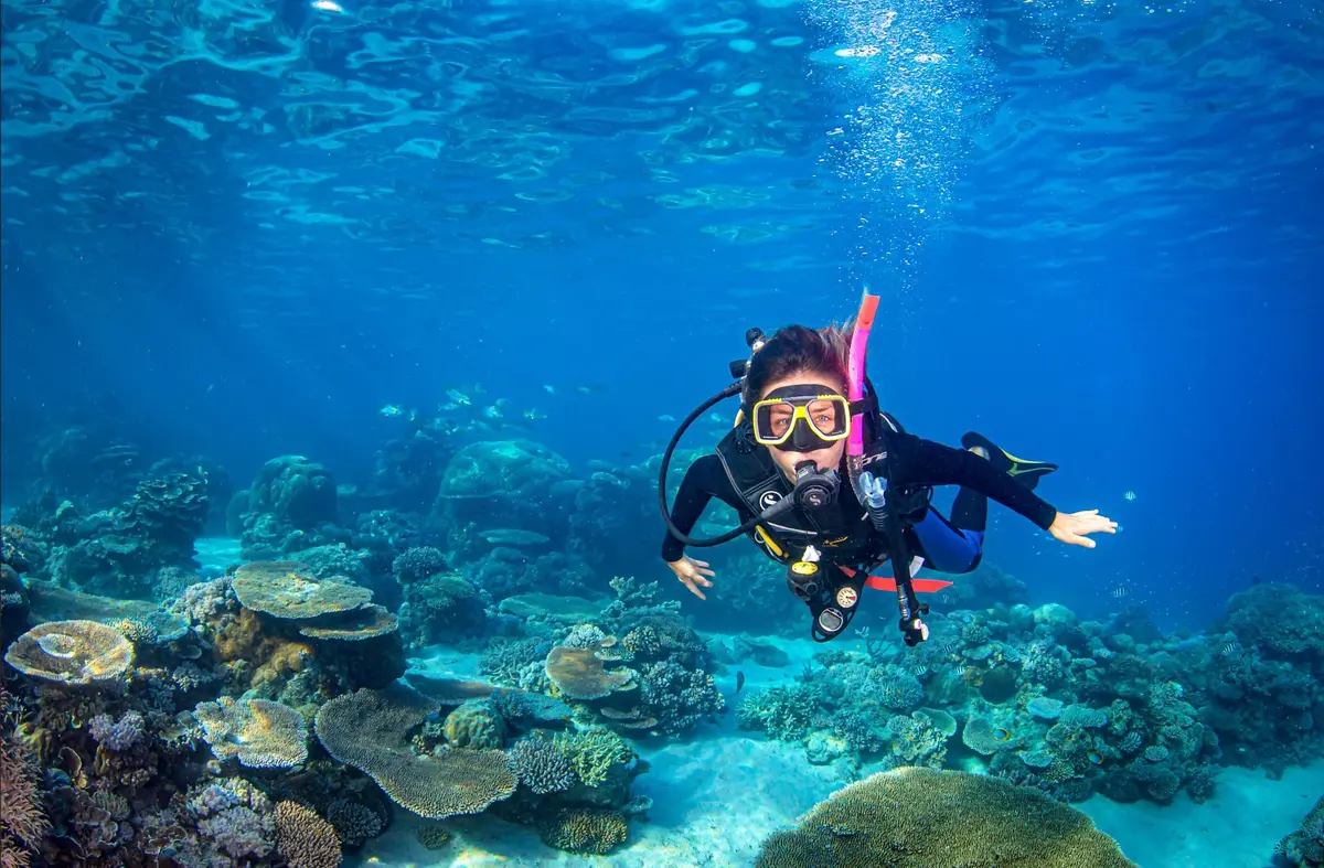 scuba diving australia great barrier reef