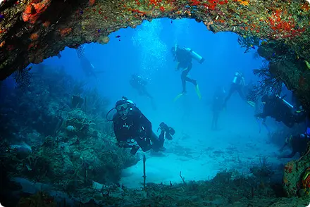 scuba diving seattle