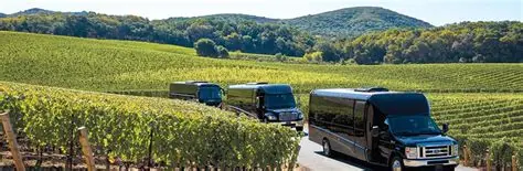 Sit Back, Relax: Your Shuttle from Oakland Airport to Napa Valley